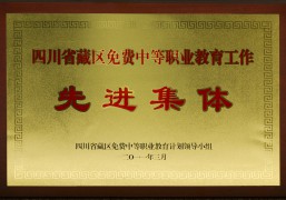 2011年四川省9+3教育先進(jìn)集體