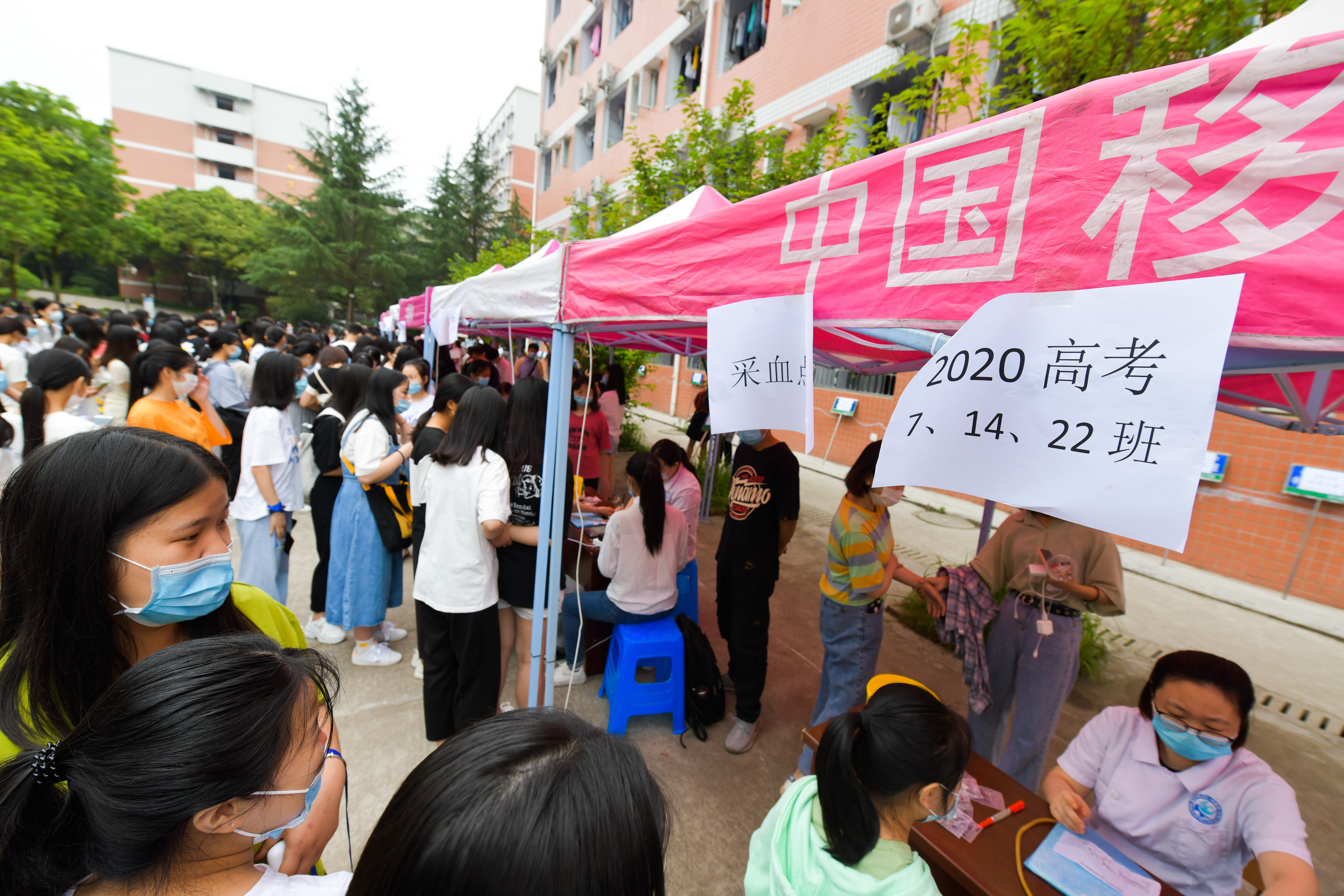 查身體健康 圓大學(xué)之夢